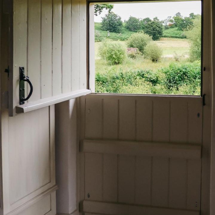 Photo of Others in New Forest District