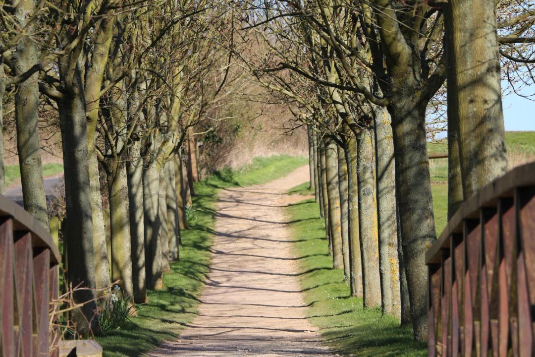 Photo of Others in Charlton-on-Otmoor