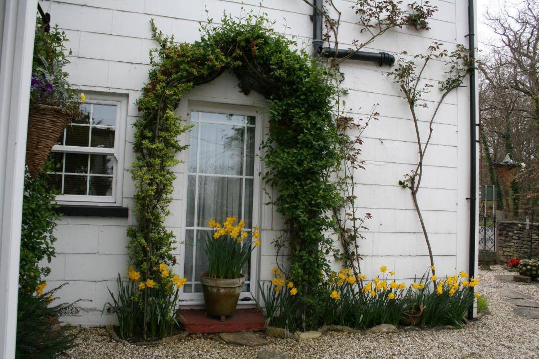 Photo of Buildings in New Forest District