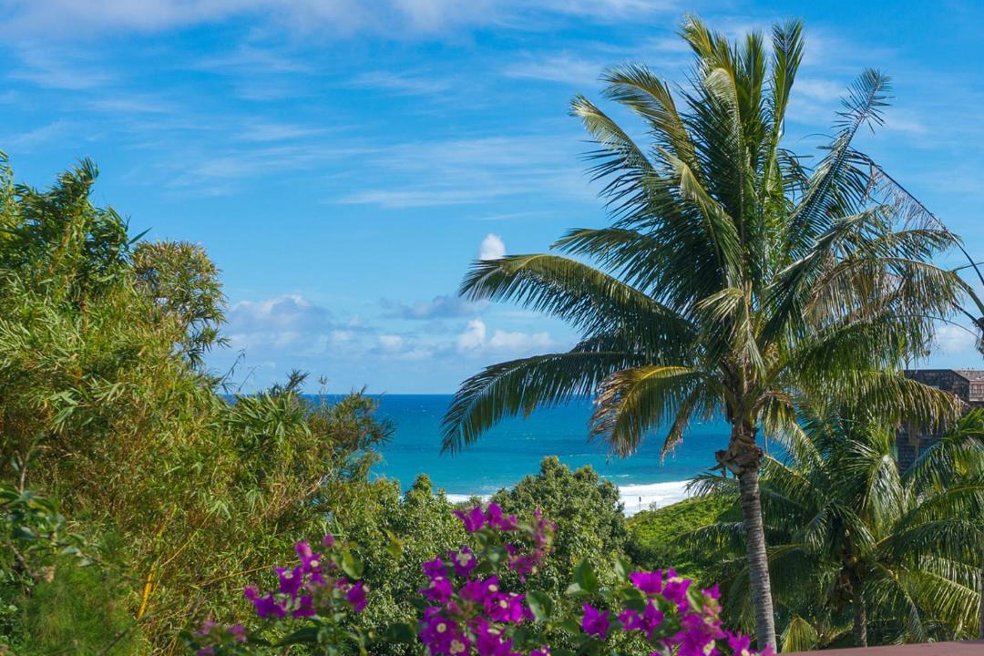 Photo of Outdoor in Princeville