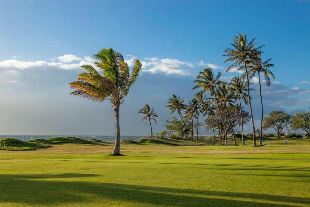Photo of Others in Kihei