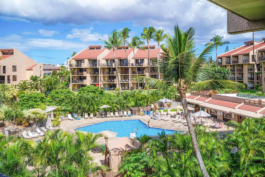Photo of Others in Kihei