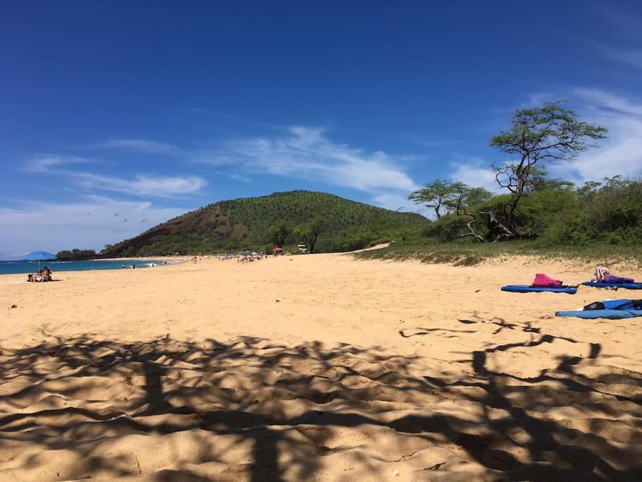 Photo of Outdoor in Kihei