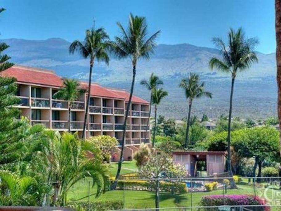 Photo of Others in Kihei