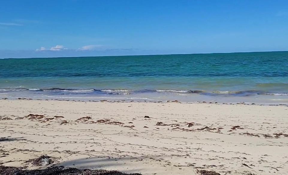 Photo of Others in North Andros