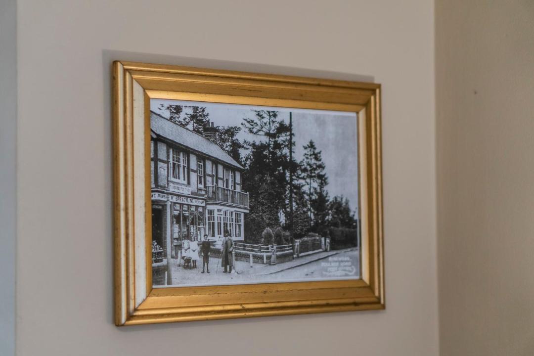 Photo of Others in New Forest District