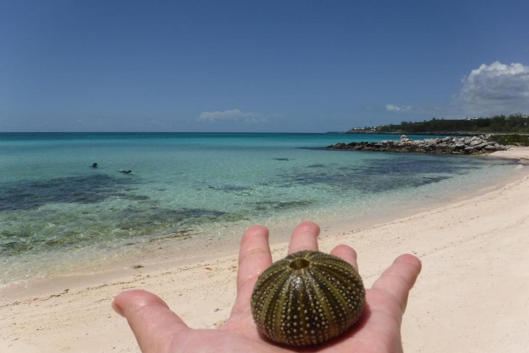 Photo of Outdoor in Rainbow Bay