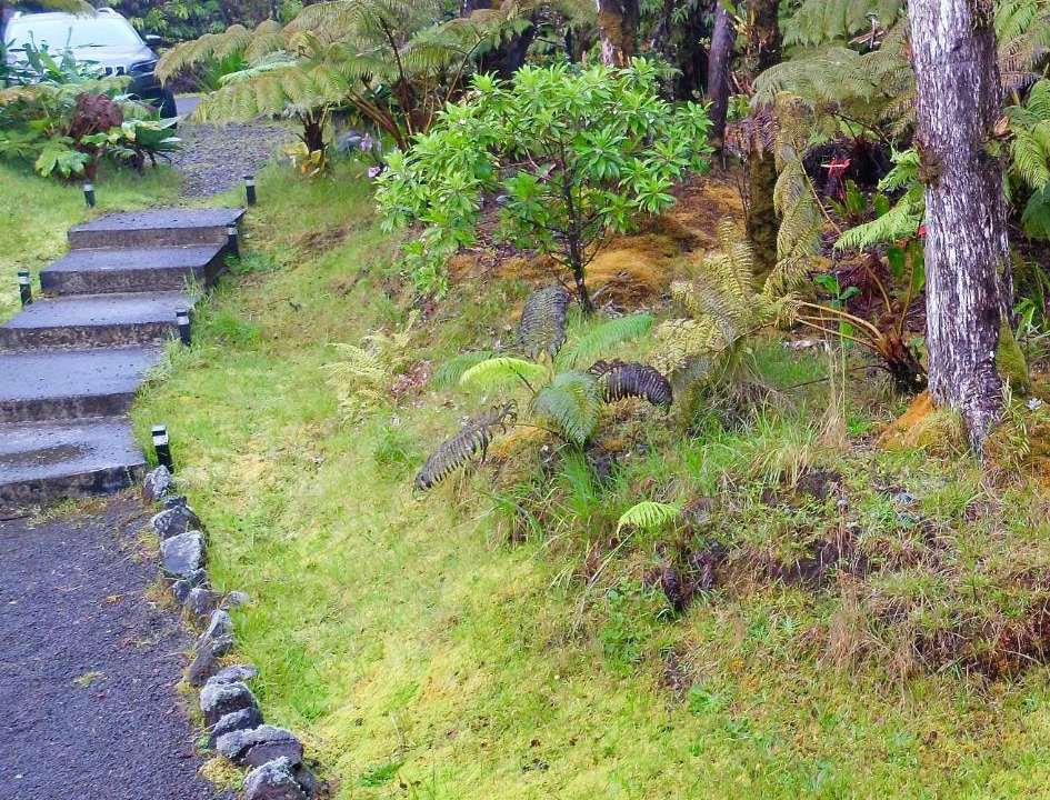 Photo of Others in Volcano