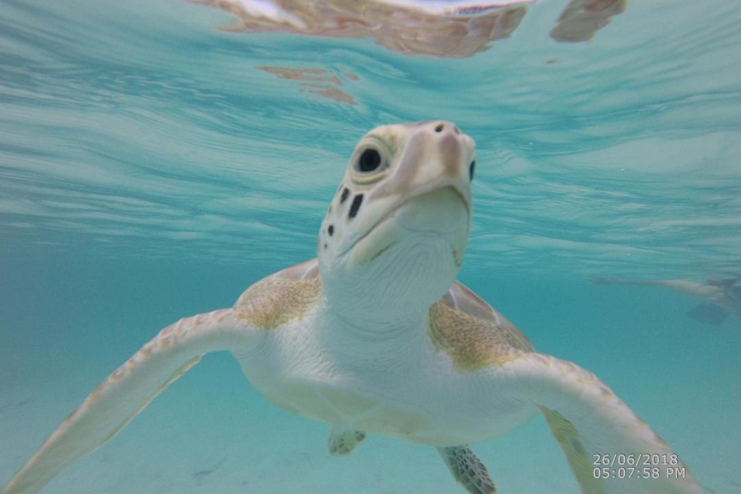 Photo of Others in Great Exuma