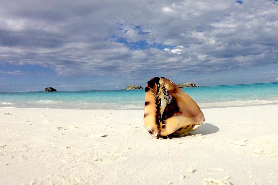 Photo of Others in Great Exuma