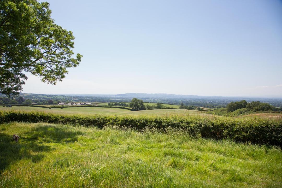 Photo of Others in Cotebrook