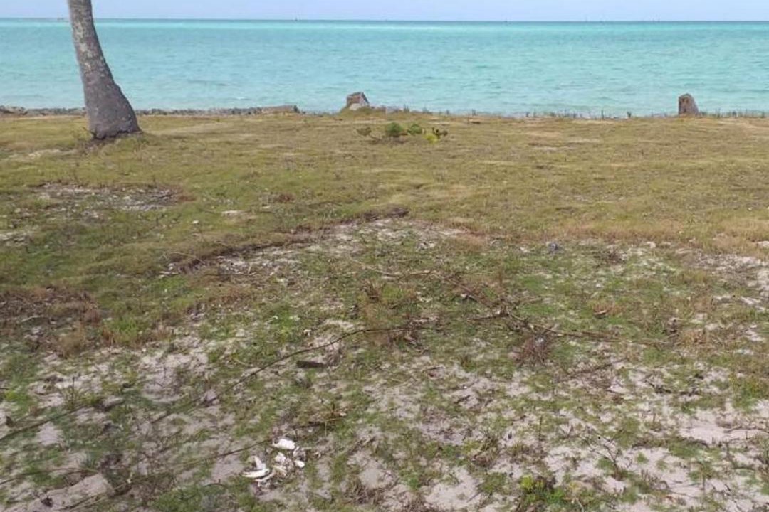 Photo of Others in Mars Bay Settlement