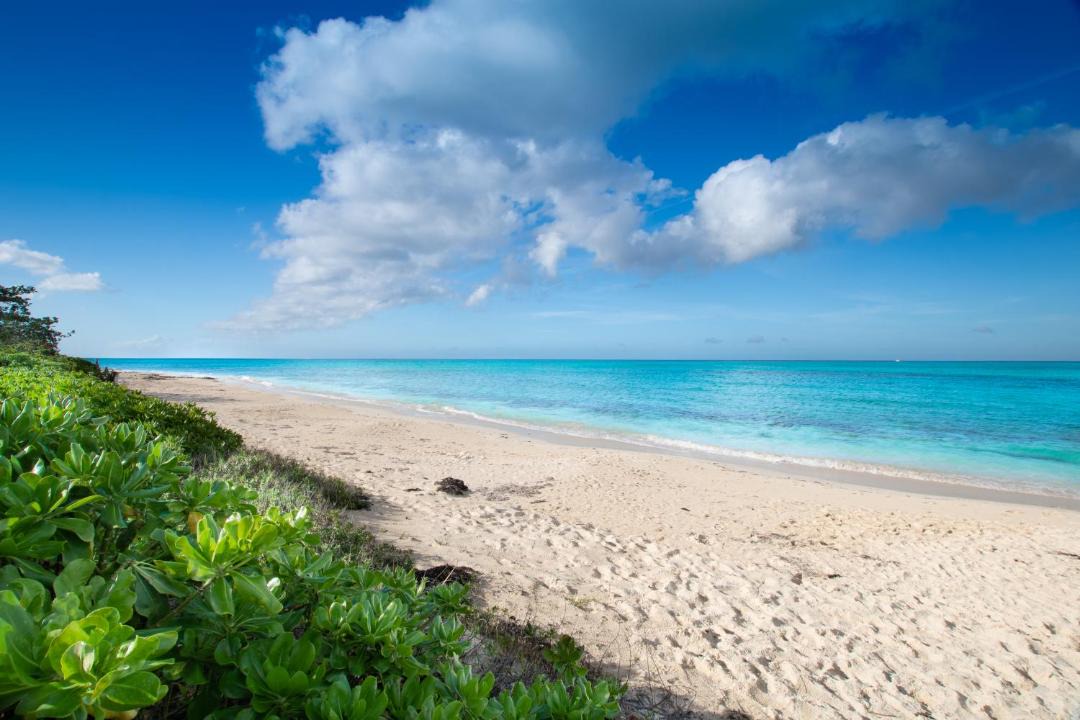 Photo of Others in Nassau