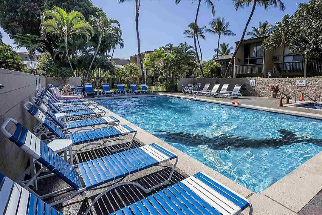 Photo of Outdoor in Kihei