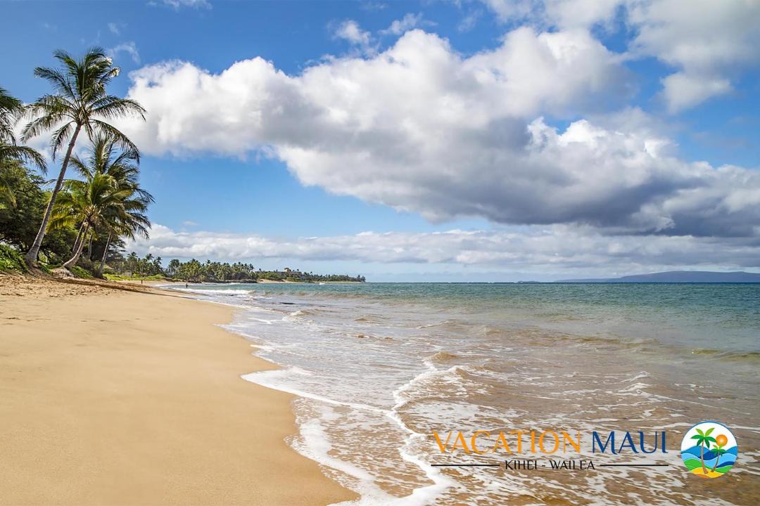 Photo of Outdoor in Kihei