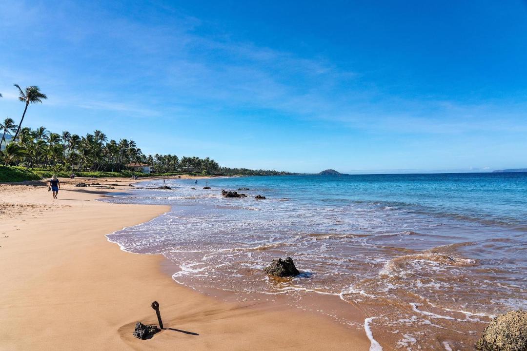 Photo of Others in Kihei