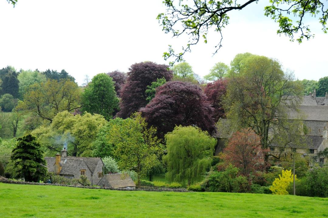 Photo of Others in Bourton