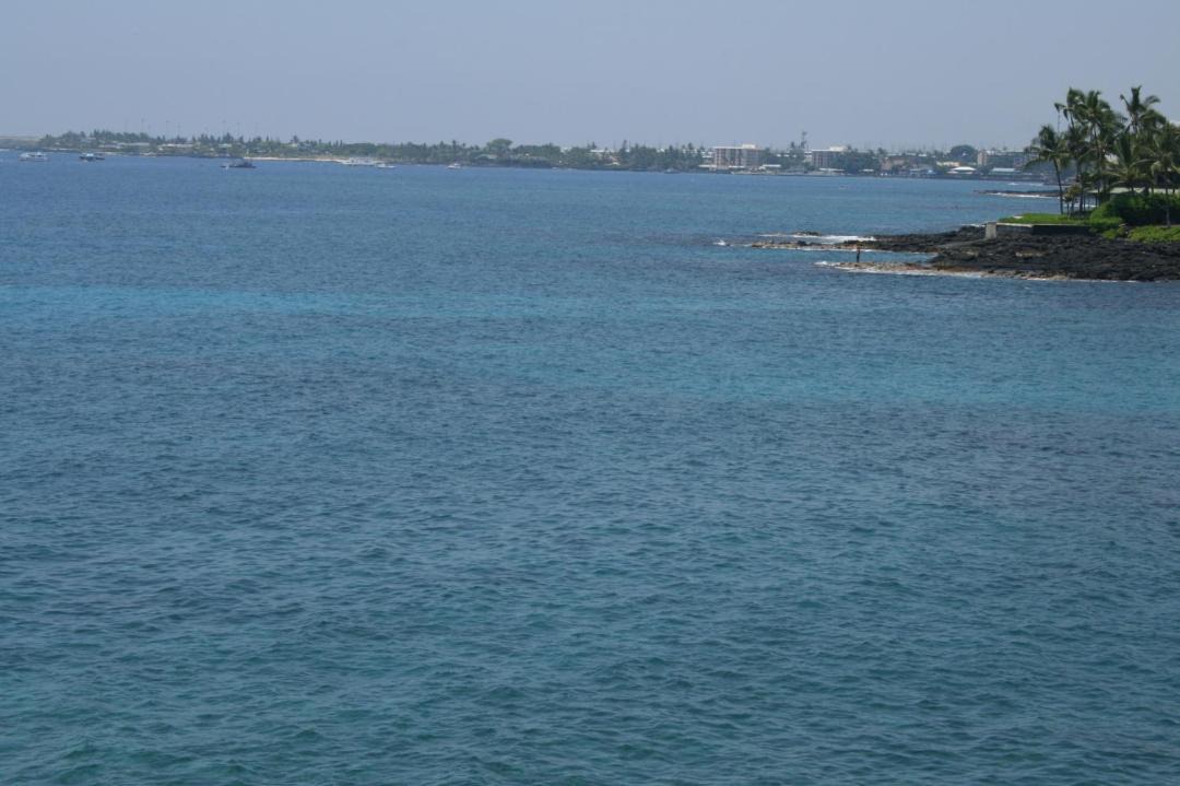 Photo of Others in Kailua-Kona