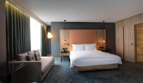 Moomin King Room with Lounge Access