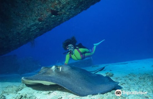Alice Town Hotel | Bimini Big Game Club Resort & Marina